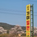 이가가야밀면 이미지