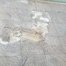 우남약품 이미지