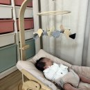 4월14일~4월20일 주간일기