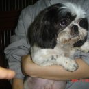 한결동물병원 이미지