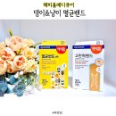 유한양행 해피홈 메디큐어 아이 상처 관리 댕냥이 멸균밴드로!