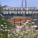 붕어섬1(다리앞) | 국내여행 꽃구경 가볼만한곳 추천 임실 붕어섬 옥정호 출렁다리추천 주차팁