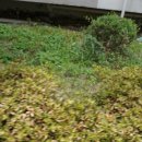 가납주공아파트 이미지