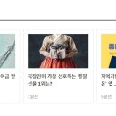 (주)체리부로 이미지