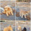 직포마을 화장실 이미지