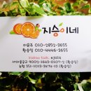 중향 이미지