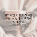 8월26일 수요일 쥐방출석부.. 이미지