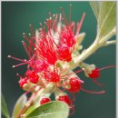 달맞이 펜션 이미지