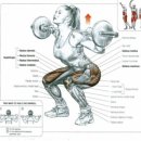 파크하비오휘트니스&골프 이미지