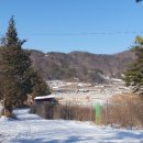 평촌농장 이미지