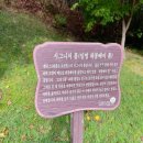 경기 포천 포천힐스cc(Fortune Hills) 팰리스&amp;캐슬 코스 라운딩 후기