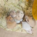 매산리 538 이미지