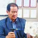 온새미㈜ 국민일보