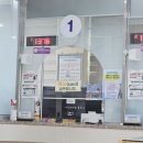 버스정류소_등촌역.강서보건소 | [정보] 강서보건소 보건증 후다닥 검사한 후기(15분소요)