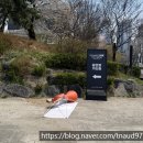 위딧 | 평(생)위딧 비염인의 아이딧 팬콘 튀김_260405(평생 돌려보기용)