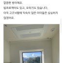 야생화마을펜션민박 이미지