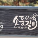 전망대길 10 이미지