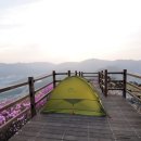 단디텍스