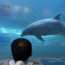 고래당구장 이미지