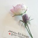 빛깔캘리그라피 이미지
