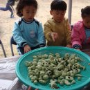 오돌개마을 이미지