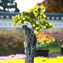 영암기찬랜드 이미지