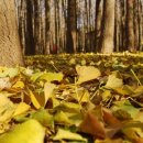 경주시 보건소 화장실 이미지