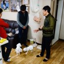 반려동물행동교정사 이미지