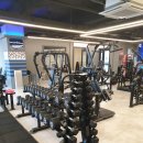 고고 휘트니스 이미지