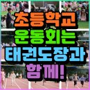 경기태권도장 | 태권도 흥선동태권도 가능초태권도 의정부동태권도 배영초태권도 중앙초태권도 경기태권도장 운동회 출동!