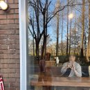 양재 | 양재천 벚꽃축제 실시간 주차꿀팁 메이드인양재 카페 내돈내산 솔직후기까지