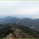 LG베스트샵 앞 횡단보도 이미지