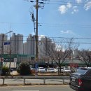 GS마트 건너편 | 마산맛집 // 마산멕시코음식맛집 // 타쿠즈