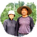 채수면 농장 이미지