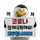 화 - 담양군 | 화