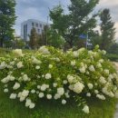 선옥공원 이미지