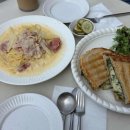 앨리스in동물병원 이미지