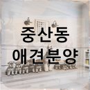 (주)청진시스템 | 중산동 애견분양 폼피츠를 만나다