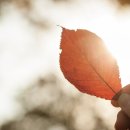 입동농장 이미지