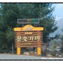 일동싸이판 이미지