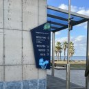 제주카페스르륵 | 제주시카페추천 웨이뷰(Wayview) 후기 (+제주 숙소 할인 꿀팁)