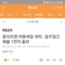 올리브영 여름세일 대박…일주일간 매출 1천억 돌파 이미지