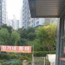 정가네동태야 이미지