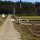 대서면사무소 이미지