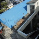 산호동444 이미지