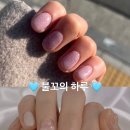 네일모어드 이미지
