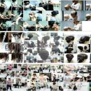 에스제이파마 이미지