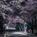 세븐일레븐 평택은혜로점
