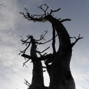 대둔산목장 이미지