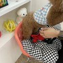 씨알알 이미지